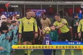 维罗纳主场击败亚特兰大，杀入前十的简单介绍