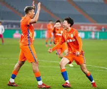 山东泰山胜上海绿地申花，掠夺三分的简单介绍