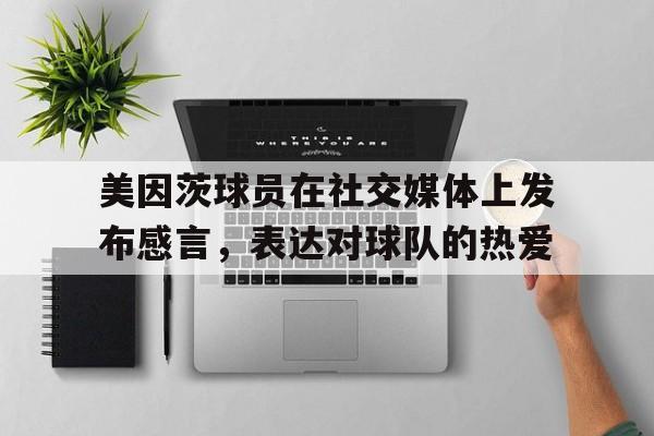 凤凰娱乐下载-美因茨球队介绍