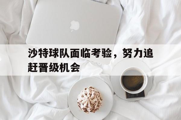 凤凰娱乐下载-沙特球队面临考验，努力追赶晋级机会的简单介绍